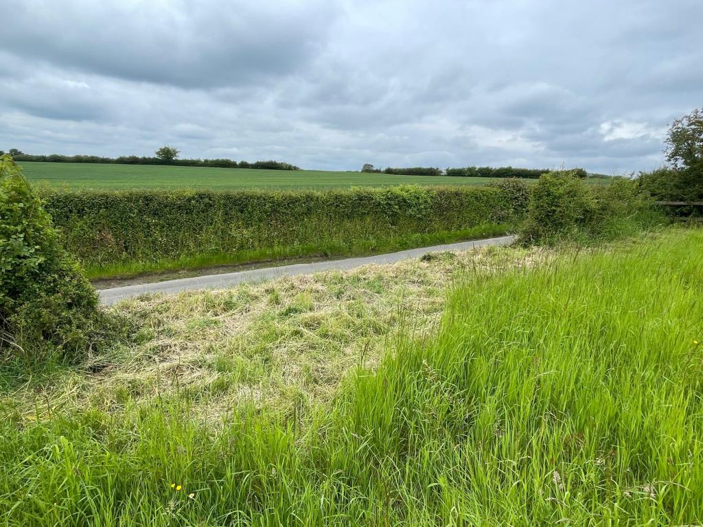 Lot: 73 - DEVELOPMENT OPPORTUNITY IN SUFFOLK VILLAGE LOCATION - view from the land looking down to the road